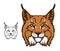 Lynx or bobcat mascot, head of wild cartoon animal
