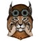 Lynx, bobcat, trot portrait. Head of wild cat. Animal face. Aviator flying leather helmet with googles.