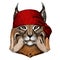 Lynx, bobcat, trot portrait. Head of wild cat. Animal face. Bandana. Pirate. Motorcycle.