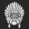 Lynx, bobcat, trot portrait. Head of wild cat. Indian tribal traditional headdress with feathers.