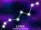 Lynx constellation. Starry night sky. Cluster of stars and galaxies. Deep space. Vector