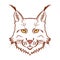 Lynx mascot logo. Head of lynx isolated vector illustration