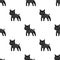 Lynx, single icon in black style.Lynx, vector symbol stock illustration web.