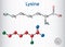 Lysine L- lysine , Lys, K amino acid molecule. It is used in the biosynthesis of proteins. Sheet of paper in a cage. Structural