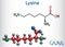 Lysine L- lysine , Lys, K amino acid molecule. It is used in the biosynthesis of proteins. Structural chemical formula and