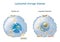 Lysosome Function. multitask lysosome. intracellular digestion