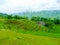 LÃ o Cai rice fields near Sapa Chapa in north mountains of Vietnam