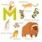 M letter animals set. English alphabet