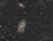 M81 and M82