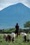 Maasai boy shepherd with flock of sheeps and Ol Doinyo Lengai on background. Maasailand, Engare Sero, Natron lake coast