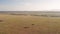 Maasai Mara Aerial drone shot of African Landscape Scenery of Savanna, Acacia Trees, Plains and Gras