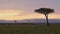 Maasai Mara Hot Air Balloon Safari Flight Ride in Africa Flying Over Savannah Landscape on Sunrise B