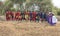 Maasai warriors arriving at a scene in a ceremonial slow walk