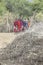 Maasai warriors arriving at a scene in a ceremonial slow walk