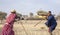 Maasai warriors fighting with sticks