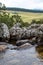 The Mac Mac Pools in the Blyde River Canyon, Panorama Route near Graskop, Mpumalanga, South Africa.