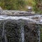 The Mac Mac Pools in the Blyde River Canyon, Panorama Route near Graskop, Mpumalanga, South Africa.