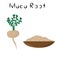 Maca Root. Healthy detox natural product. Organik dietary supplement vegetable. Superfood, root for homeopathy. Cartoon