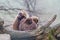 Macaca monkey sitting in a group