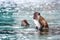 Macacus swimming for food from tourist in Monkey Beach, Phi Phi Island, Thailand.