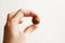 Macadam nut in womans hand on white background