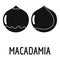 Macadamia icon, simple style