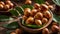 Macadamia nut leaves a bowl wooden table tasty edible healthy selection