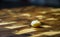 Macadamia Nut up close sitting on a Cutting board in the kitchen