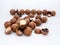 Macadamia nuts fruits with shell on white background