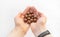 Macadamia nuts in hand close-up on a white isolated background with space for writing. A handful of Australian nuts in the palm.