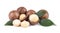 Macadamia nuts with leaves, isolated on white background. Shelled and unshelled macadamia.