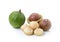 Macadamia nuts on white background