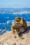 Macaque monkey above Gibraltar city