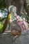 Macaque monkey with a baby next to a statue of the Madonna and Children in Rishikesh, India