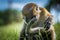 The macaque scratches on the head using the lower limb, the monkey sits on a green grassy meadow, National Park in Thailand