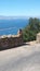 Macaque Sitting on Wall High up on Rock of Gibraltar