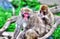 Macaque (Snow) Monkey\'s in High Dynamic Range hdr