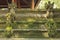 Macaque on the temple steps at Ubud Monkey Forest, Bali