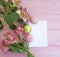 Macaron pink wooden background, flower white leaf