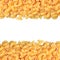 Macaroni angle pasta closeup