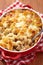 Macaroni with cheese, chicken and mushrooms