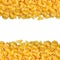 Macaroni closeup with copy space