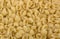 Macaroni shape sea shells texture