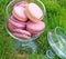 Macarons glass bowl on green grass background