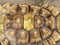 Macau Nature Giant Money Turtle Golden Tortoise Testudines Terrapins Pet Oracle Shell Pattern Paws Animal Retractable Neck Body