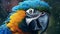 Macaw ara parrot. Generative AI