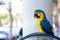 Macaw Ara parrot outside your cage.