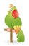 Macaw Bird