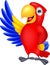 Macaw bird cartoon waving