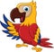 Macaw bird cartoon waving